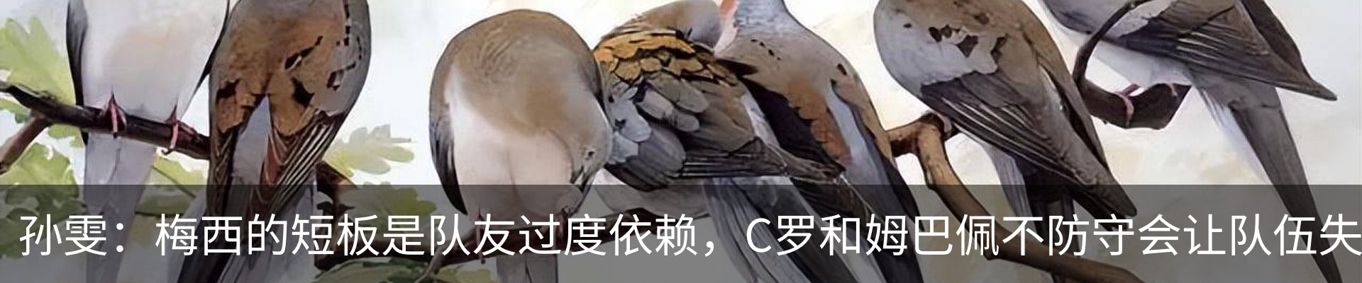新闻中心